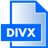 DIVX File Extension Icon 48x48 png